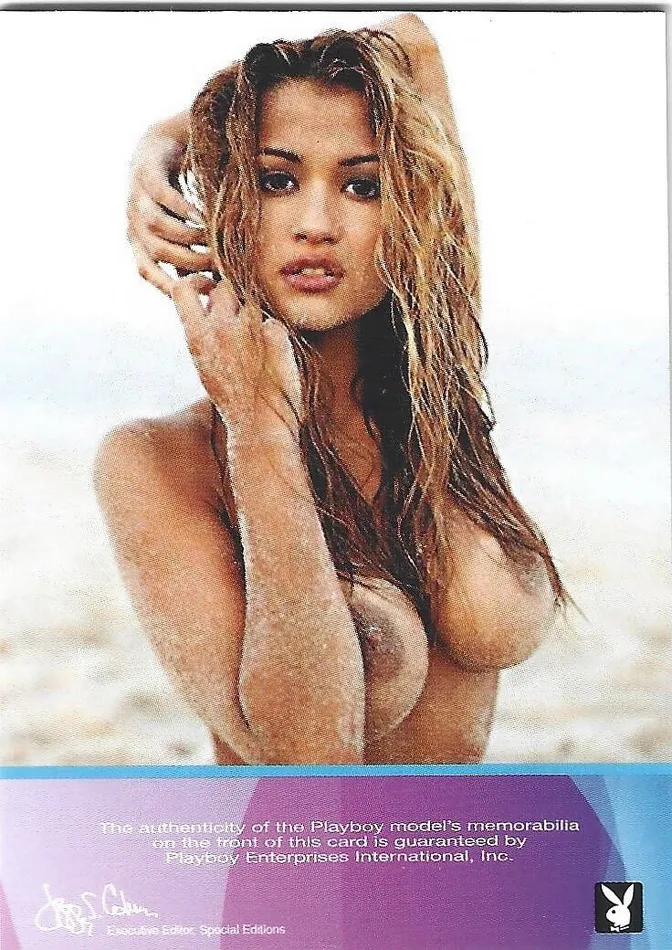 Dans Cards Vibrators Playboy Lingerie Dreams Alley Baggett Gold Foil Memorabilia Card